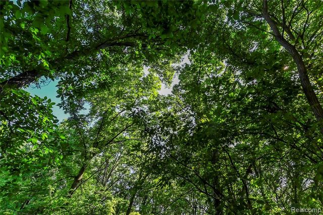 000 Holdridge Rd, Holly, MI 48462