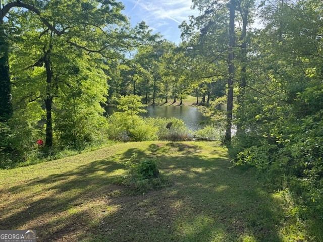 217 Central Lake Circle, Griffin, GA 30223