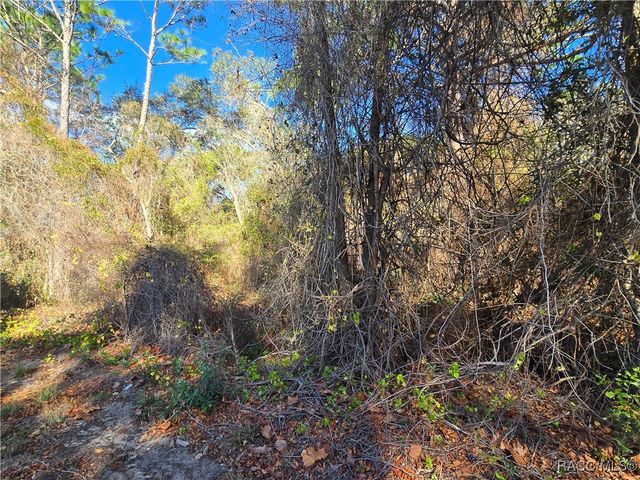 3257 E Kennedy Street, Inverness, FL 34453