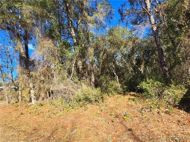 3257 E Kennedy Street, Inverness, FL 34453