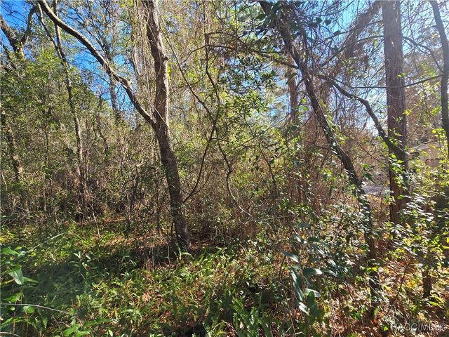 3257 E Kennedy Street, Inverness, FL 34453