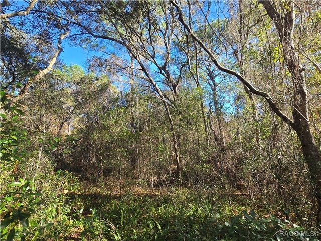 3257 E Kennedy Street, Inverness, FL 34453