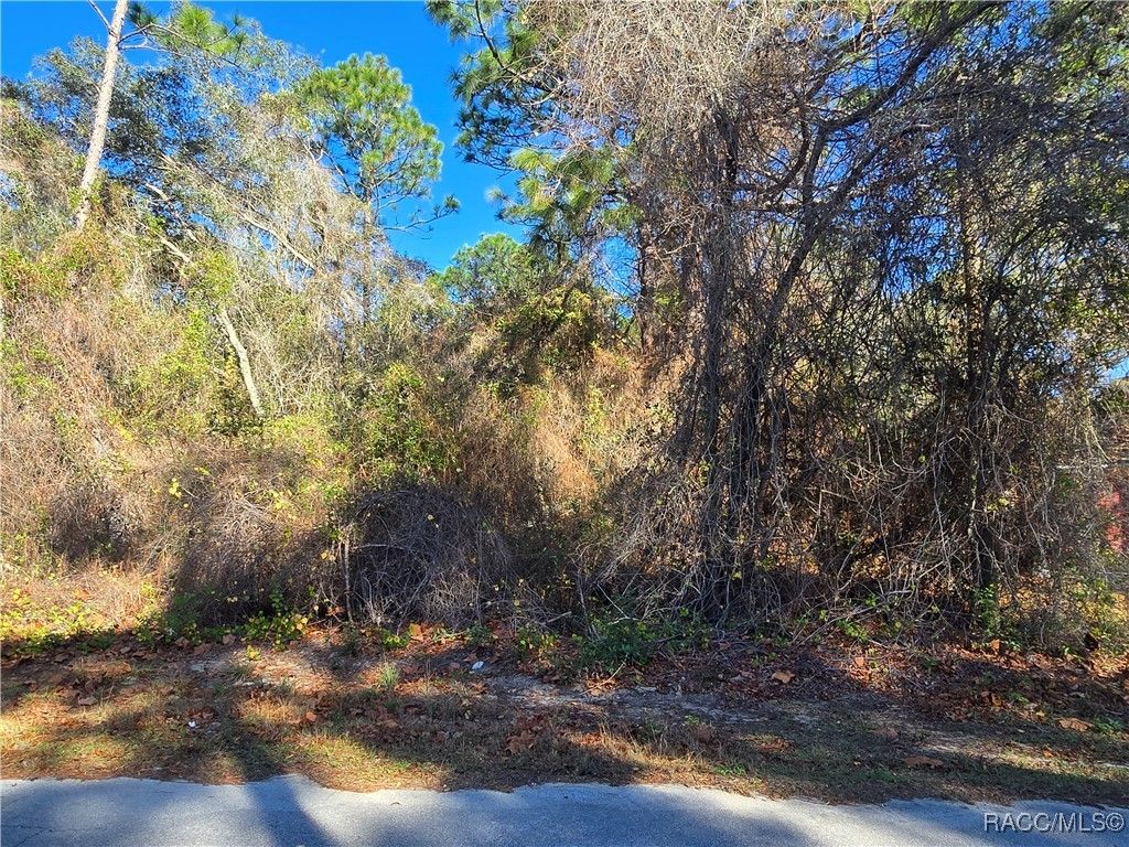 3257 E Kennedy Street, Inverness, FL 34453