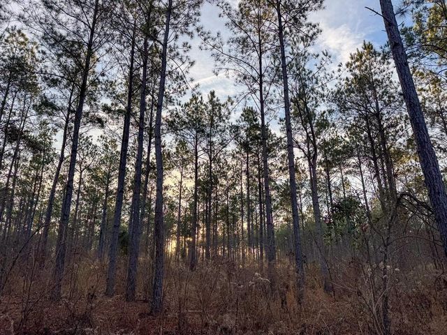 000 County Road 4320, De Kalb, TX 75559