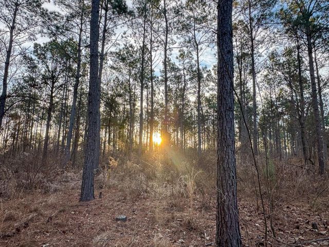 000 County Road 4320, De Kalb, TX 75559