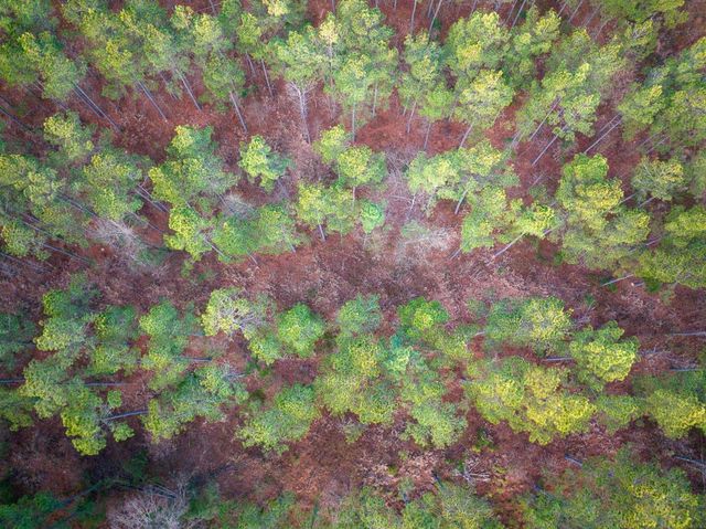 000 County Road 4320, De Kalb, TX 75559