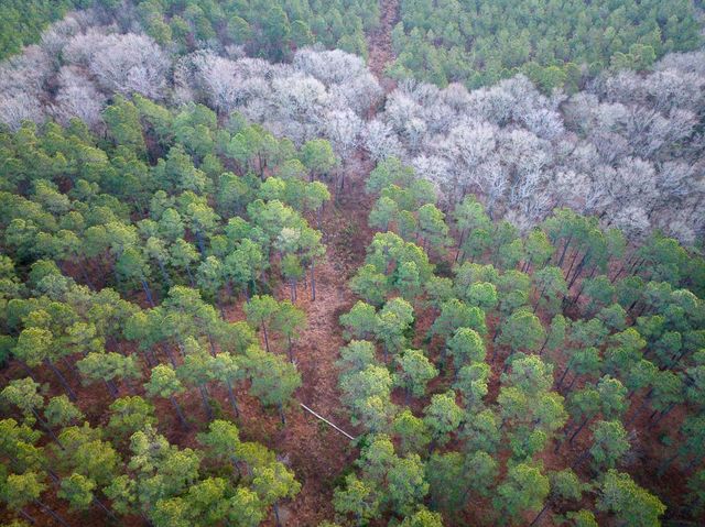 000 County Road 4320, De Kalb, TX 75559