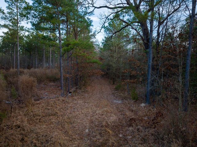 000 County Road 4320, De Kalb, TX 75559