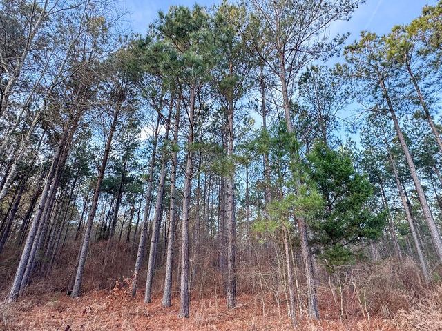 000 County Road 4320, De Kalb, TX 75559