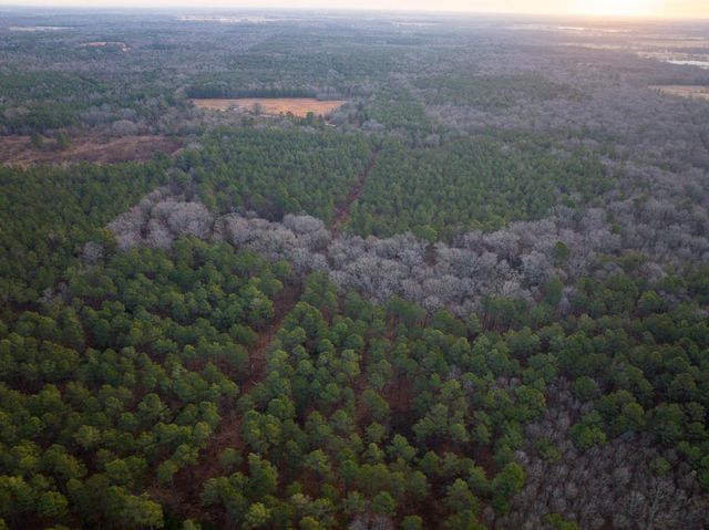 000 County Road 4320, De Kalb, TX 75559