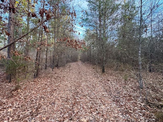 000 County Road 4320, De Kalb, TX 75559