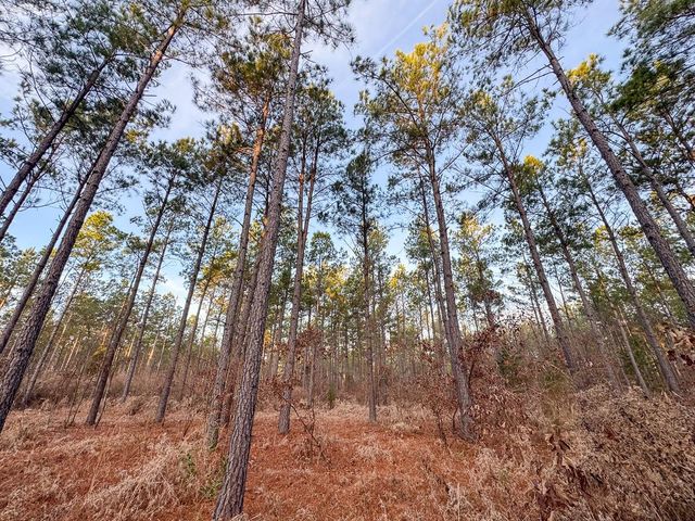 000 County Road 4320, De Kalb, TX 75559