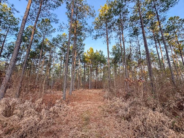 000 County Road 4320, De Kalb, TX 75559