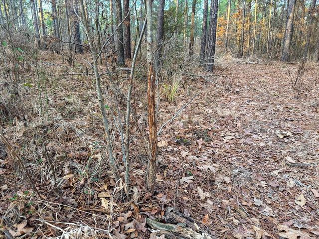 000 County Road 4320, De Kalb, TX 75559