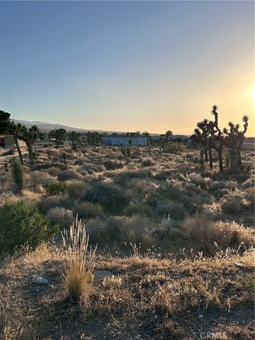 11561 Buena Vista, Pinon Hills, CA 92372