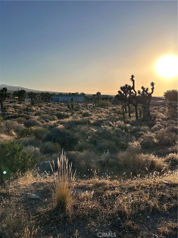 11561 Buena Vista, Pinon Hills, CA 92372