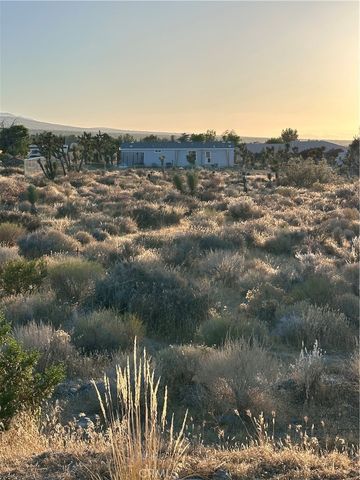 11561 Buena Vista, Pinon Hills, CA 92372