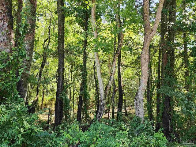 23595 County Road 47, Perdido, AL 36562