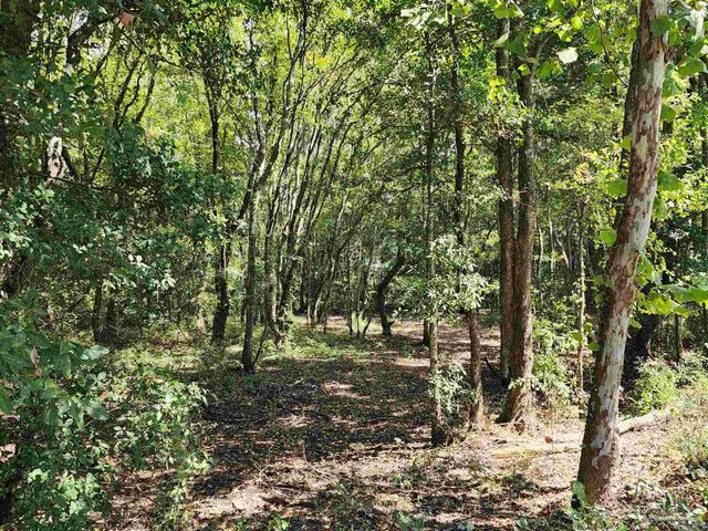 23595 County Road 47, Perdido, AL 36562