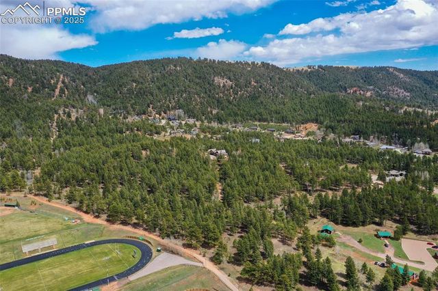 270 Thunder Ridge Drive, Woodland Park, CO 80863