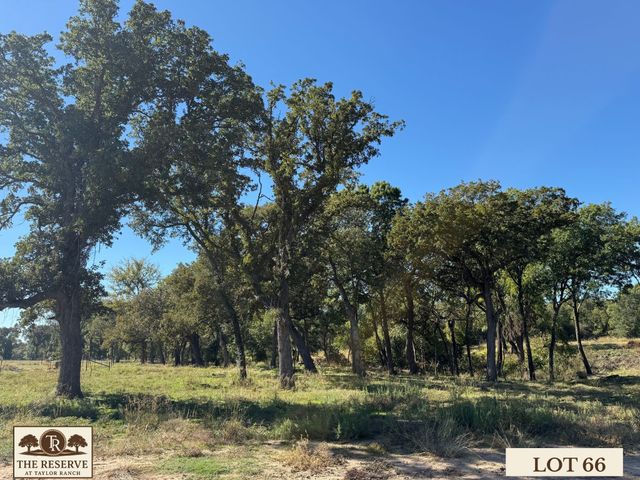 Lot 66 Camden Lane, Springtown, TX 76082