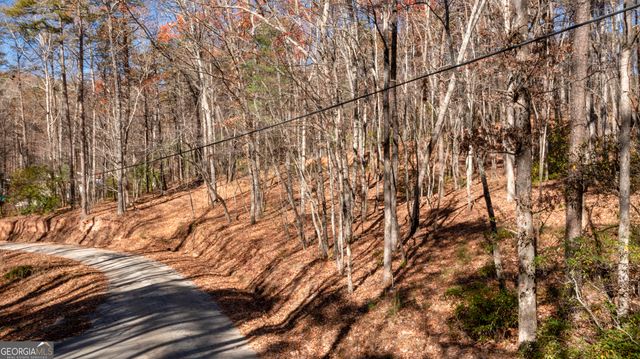 LOT 123 Mountain View Road, Dawsonville, GA 30534