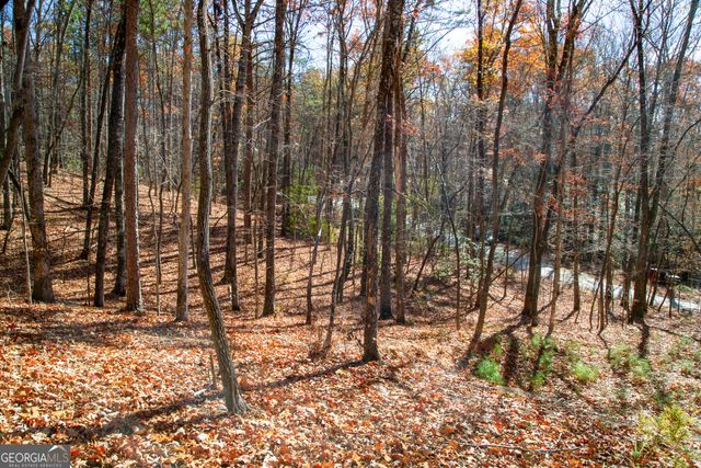 LOT 123 Mountain View Road, Dawsonville, GA 30534