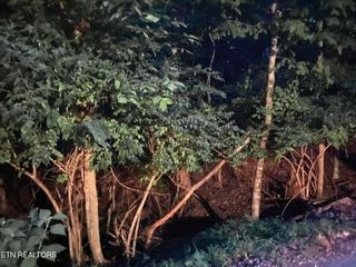 Lot 81 Shamrock Place, Sevierville, TN 37876