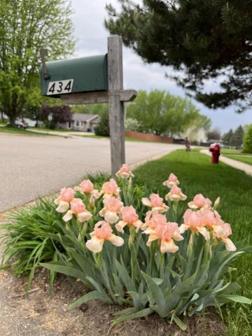434 Burr Oak Avenue, Oregon, WI 53575