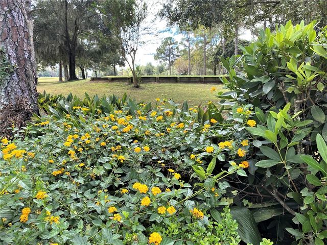 7203 NW 121 AVENUE, Alachua, FL 32615