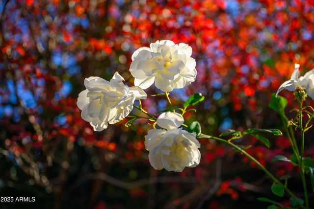 49 PROCHNOW Road, Sedona, AZ 86336