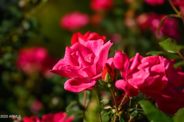 49 PROCHNOW Road, Sedona, AZ 86336