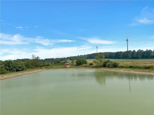 3919 Wing Street, Eagle, NY 14024