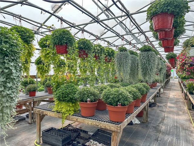 3919 Wing Street, Eagle, NY 14024