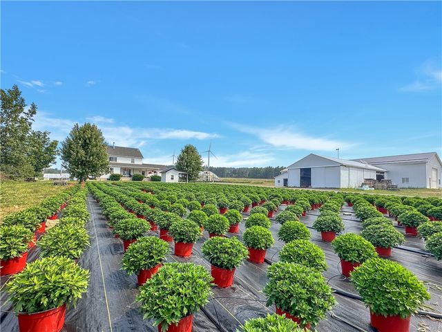 3919 Wing Street, Eagle, NY 14024