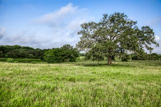 Tract 3 S Nassau Road, Round Top, TX 78954