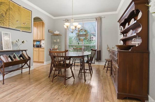 24118 Briarbrook, San Antonio, TX 78261