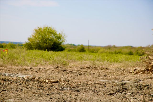 Tract 1 County Road 2935, Dodd City, TX 75438