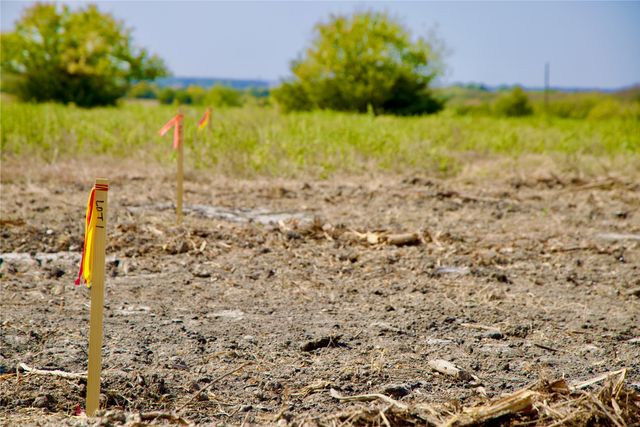 Tract 1 County Road 2935, Dodd City, TX 75438