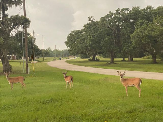 113 Pony Trail, Angleton, TX 77515