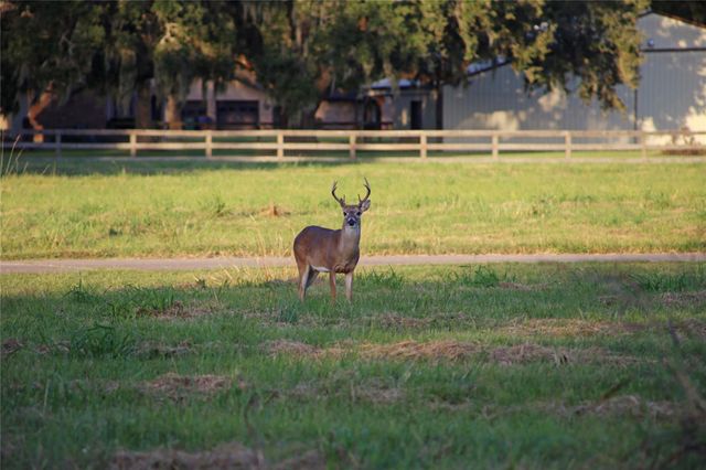 113 Pony Trail, Angleton, TX 77515