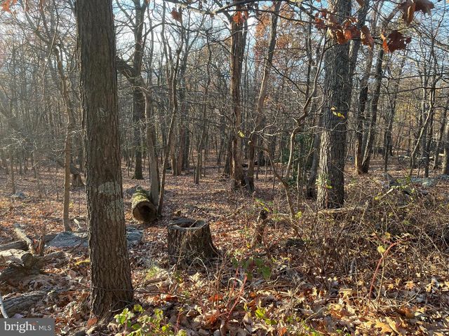 STONE RIDGE RD, Harpers Ferry, WV 25425