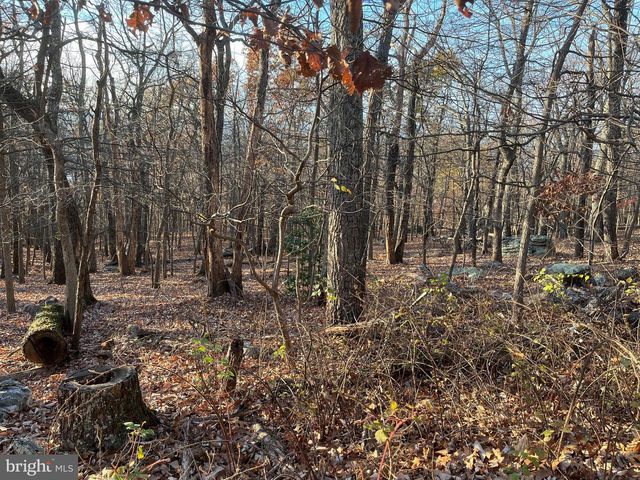 STONE RIDGE RD, Harpers Ferry, WV 25425