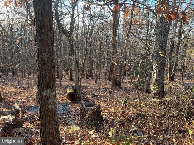 STONE RIDGE RD, Harpers Ferry, WV 25425