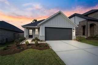 19560 Stripe Hill Bend, Montgomery, TX 77316