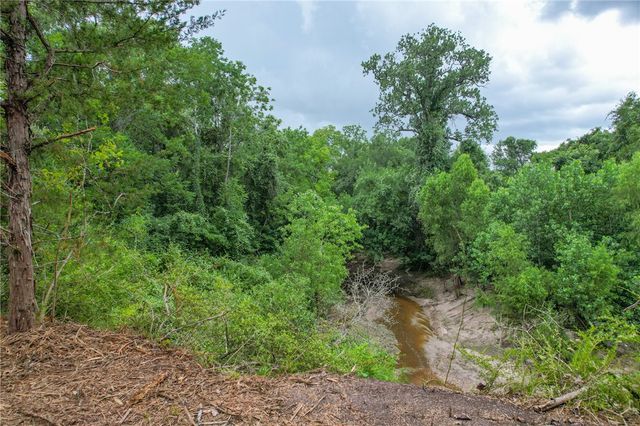 Tract 5 Jones Road, College Station, TX 77845