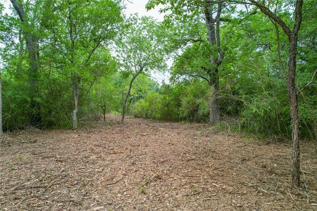 Tract 5 Jones Road, College Station, TX 77845