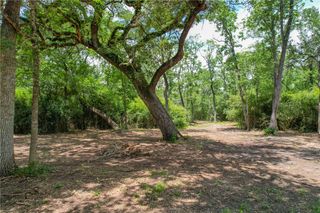 Tract 5 Jones Road, College Station, TX 77845