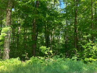 30 Upper Howes Way # A-30, Wilmington, VT 05363