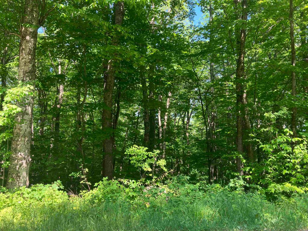 30 Upper Howes Way # A-30, Wilmington, VT 05363